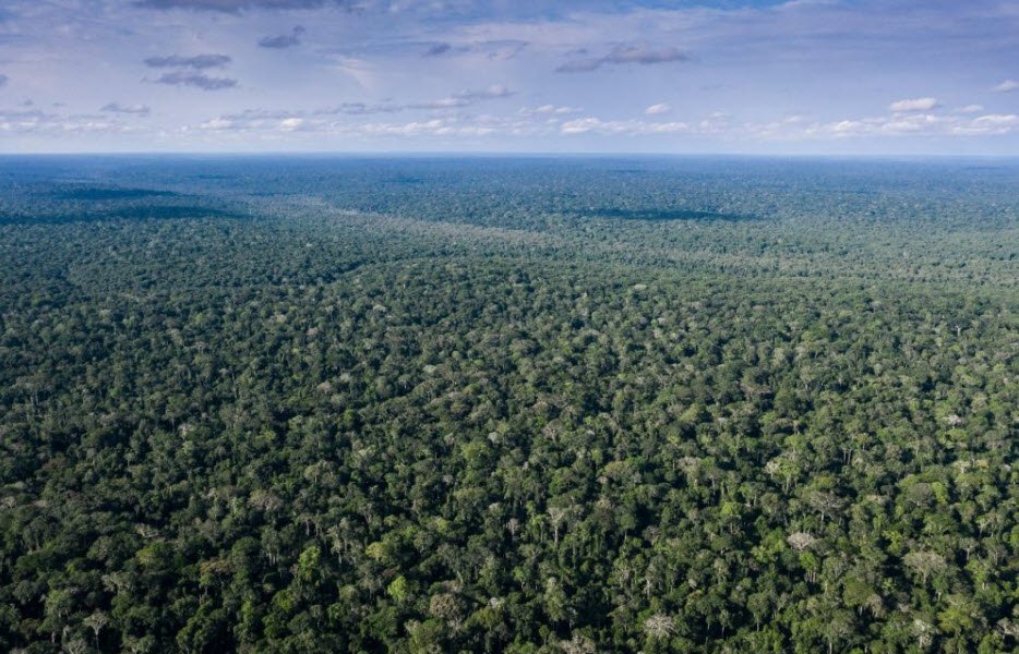 Mayombe Forest, Kouilou & Niari Regions, DR Congo